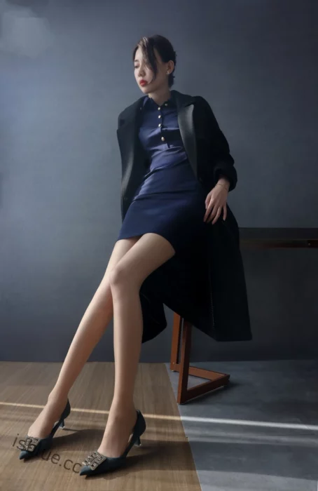 SHENSHI绅士 - 合集 228套 112GB-次元社区