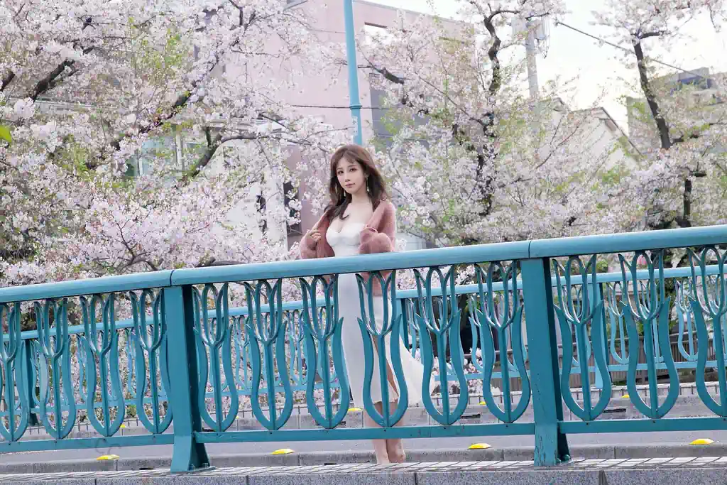 图片[5]-水淼aqua – 图集 国风 259套 50G-次元社区