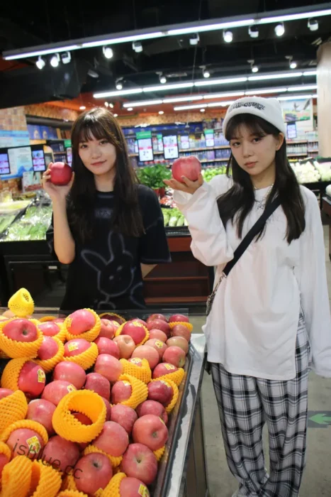 织梦映像 - 合集 163套 680G-次元社区