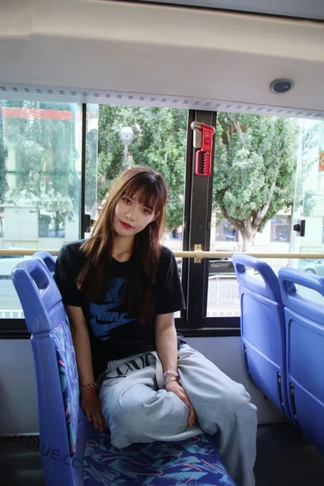 织梦映像 - 合集 163套 680G-次元社区