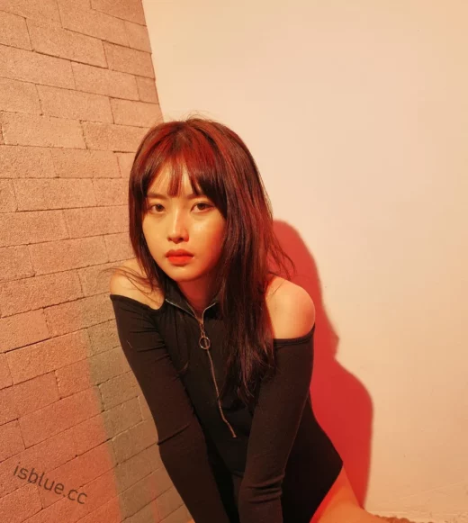 LEEHEE EXPRESS  - 合集 591套 180GB-次元社区