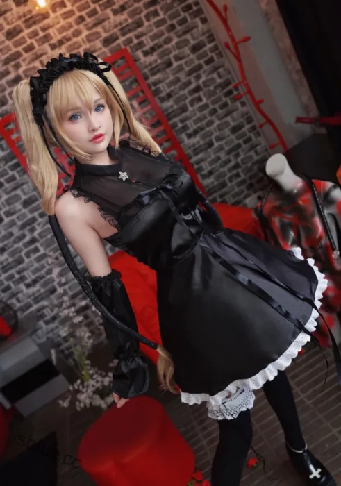 HidoriRose - 合集29套 11GB-次元社区