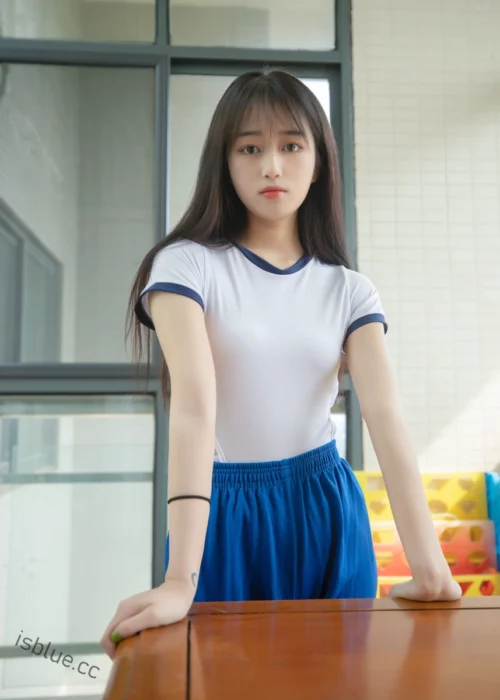 梦丝女神 - 合集 219套 138GB-次元社区