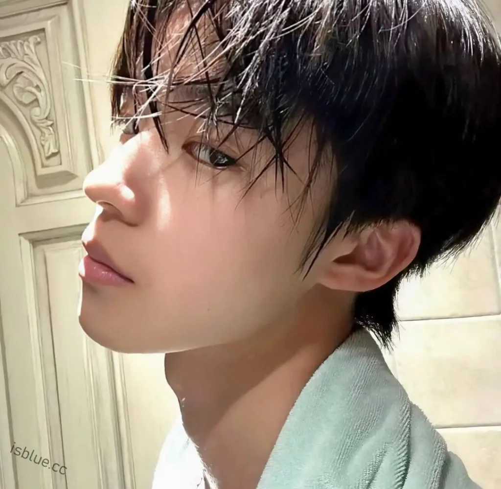 𝗪𝗲𝗖𝗵𝗮𝘁 网络头像男 分享 - 第二期-次元社区