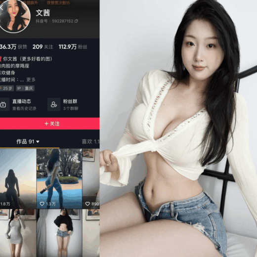 Cool文茜 - 微密圈 合集 74套 15GB-次元社区